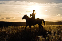 cowboy at sunset, Oregon, USA