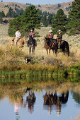 cowboys riding, Oregon, USA