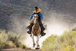 Cowboy mit Pferden, Oregon, USA