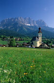 Kirche von Going mit Löwenzahnwiese und Wilder Kaiser, Kaisergebirge, Tirol, Österreich