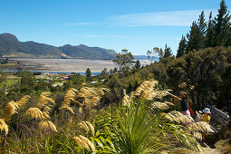 Aussichtspunkt über Tidenebene (gerade Ebbe) bei Collingwood, Golden Bay, Nordküste der Südinsel, Neuseeland