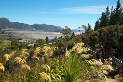 Lookout above tidal flats (at low tide). Near Collingwood, Golden Bay, northern coast of South Island, New Zealand