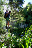 Mother and child on hanging bridge, rivercrossing in Abel Tasman National Park, north coast of South Island, New Zealand