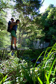 Mutter mit Kind auf Hängebrücke über Fluß, Wanderung im Abel Tasman Nat.Park, Nordüste, Südinsel, Neuseeland