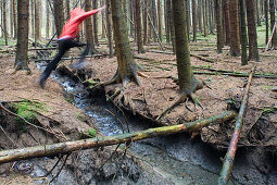 Man jumping over a creek in coniferous forest, Eifel, Germany