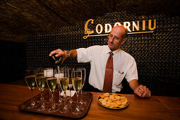 Codorniu, cava cellars, Sant Sadurni d Anoia, near Barcelona, Spain