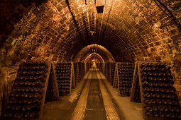 Codorniu, cava cellars, Sant Sadurni d Anoia, near Barcelona, Spanien