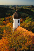 Zwiebelturm der Burgkapelle von Burg Falkenstein vor herbstlich bewaldeten Hügeln, Falkenstein, Bayerischer Wald, Oberpfalz, Bayern, Deutschland