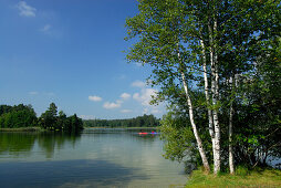 two kayakers on lake Fohnsee, Osterseen, Upper Bavaria, Bavaria, Germany