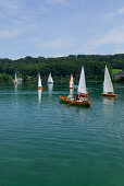 rowing boat with couple and sailing boats, lake Mattsee, Salzkammergut, Salzburg, Austria