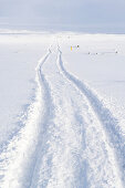 Car tracks in the snow, Iceland