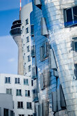 Gehry Bauten, Neuer Zollhof, Rheinturm im Hintergrund, Medienhafen, Düsseldorf, Nordrhein-Westfalen, Deutschland