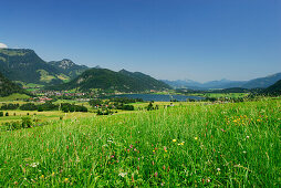 Blick über Walchsee aufs Kaisergebirge, Tirol, Österreich