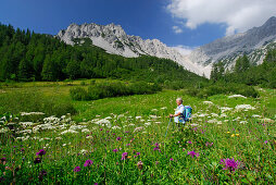 Hiker in flower meadow, Iss valley, Karwendel range, Hall, Tyrol, Austria