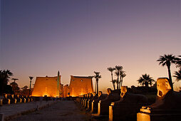 Sphinxe und Obelisk vor dem ersten Pylon im Luxor Tempel, beleuchtet in der Dämmerung, Ägypten, Afrika