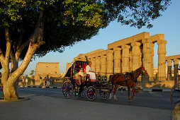 horse coach in front of Luxor temple, Egypt, Africa