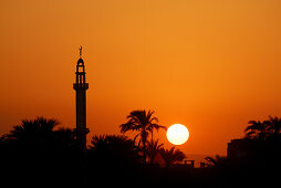 cruise on the Nile, sunset behind minaret and palm trees at western bank, Nile between Luxor and Dendera, Egypt, Africa