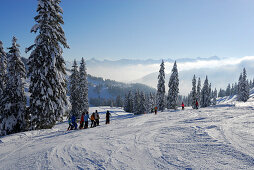 Skifahrer auf der Piste, Riedberger Horn, Allgäuer Alpen, Bayern, Deutschland