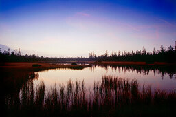 Hohlohsee near Kaltenbronn, Gernsbach, Black Forest, Baden-Wurttemberg, Germany