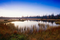 Moorsee auf dem Hohloh, Naturschutzgebiet Kaltenbronn, Schwarzwald, Baden-Württemberg, Deutschland