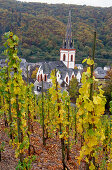 View along vineyard to St. Martin church, Ediger-Eller, Rhineland-Palatinate, Germany