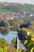 View to Escherndorf with vineyard, Franconia, Bavaria, Germany