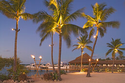 Palm trees and the Holiday Isle Resort in the evening, Islamorada, Florida Keys, Florida, USA