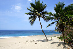 Palmen am menschenleeren Strand im Sonnenlicht, Aguadilla, Puerto Rico, Karibik, Amerika