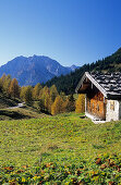 traditionelle Almhütte mit Watzmann, Berchtesgadener Alpen, Berchtesgaden, Oberbayern, Bayern, Deutschland