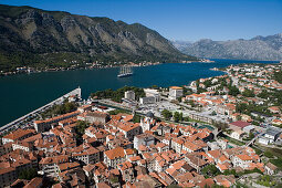 Blick auf Altstadt und Großsegler Royal Clipper im Kotor Fjord, Kotor, Montenegro, Europa