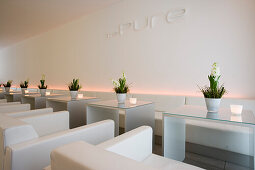 Schicke Lobby von Designer Hotel The Pure, Frankfurt, Hessen, Deutschland, Europa