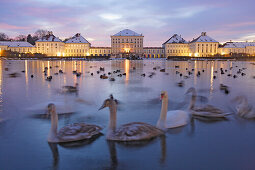 View over swan lake at Nymphenburg Castle in the evening, Munich, Bavaria, Germany