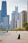 Poodle at North Beach with Skyline, Chicago, Illinois, USA