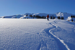 Junge Frau bei Abfahrt durch Pulverschnee mit Raureif (Rauhreif) unter dem Höllritzereck und Bleicherhorn, Allgäuer Alpen, Allgäu, Schwaben, Bayern, Deutschland