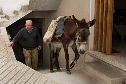 Donkey carrying a load with older man, Pack animal, Agros, Pitsilia region, Troodos mountains, South Cyprus, Cyprus