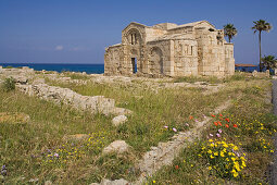 Agios Filon, church ruins with palm tree, Dikarpaz, Rizokarpaso, Karpasia, Karpass Peninsula, North Cyprus, Cyprus