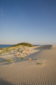 Strand, Golden Sands Beach, Dipkarpaz, Rizokarpaso, Karpaz, Karpasia, Karpass Halbinsel, Nordzypern, Zypern