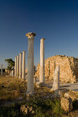 Antike Säulen Gymnasium, Palaestra, Ruine, Antike Stadt von Salamis, Salamis, Nordzypern, Zypern