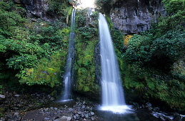 Die Dawson Falls im Mt. Egmont Nationalpark auf der Nordinsel, Neuseeland