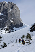 Backcountry skiers ascending to Ellmauer Tor, Kuebelkar, Wilder Kaiser, Kaiser range, Tyrol, Austria