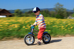 boy riding bicycle / Like a  Bike, in spring, Gossau ZH, Zuerich, Switzerland