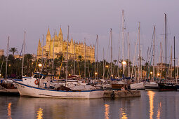Fischerboote im Hafen mit Kathedrale La Seu in der Abenddämmerung, Palma, Mallorca, Balearen, Spanien, Europa