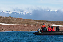 Touristen beobachten Eisbär von Schlauchboot aus, Spitzbergen, Norwegen