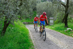 zwei Mountainbiker auf Straße durch Olivenhain mit Kreuzwegstation, Arco, Trentino, Italien