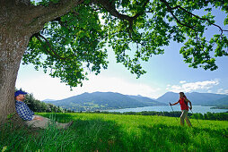Woman nordic walking, man leaning against tree, lake Tegernsee, Bavarian foothills, Upper Bavaria, Bavaria, Germany