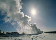 Rising steam of Old Faithful geyser, Yellowstone national park, Wyoming, North America, USA