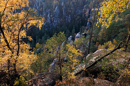 Rocks and autumnal forest, Saxon Switzerland, Elbsandsteingebirge, Saxony, Germany, Europe