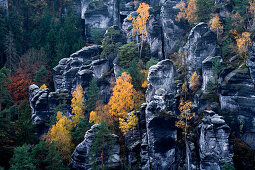 Felsformation im Elbsandsteingebirge, Sächsischen Schweiz, Sachsen, Deutschland
