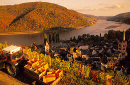 Europe, Germany, Rhineland-Palatinate, view upon Bacharach, Rhine