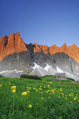 Trollblumenwiese mit Falkenhütte, Karwendel, Tirol, Österreich